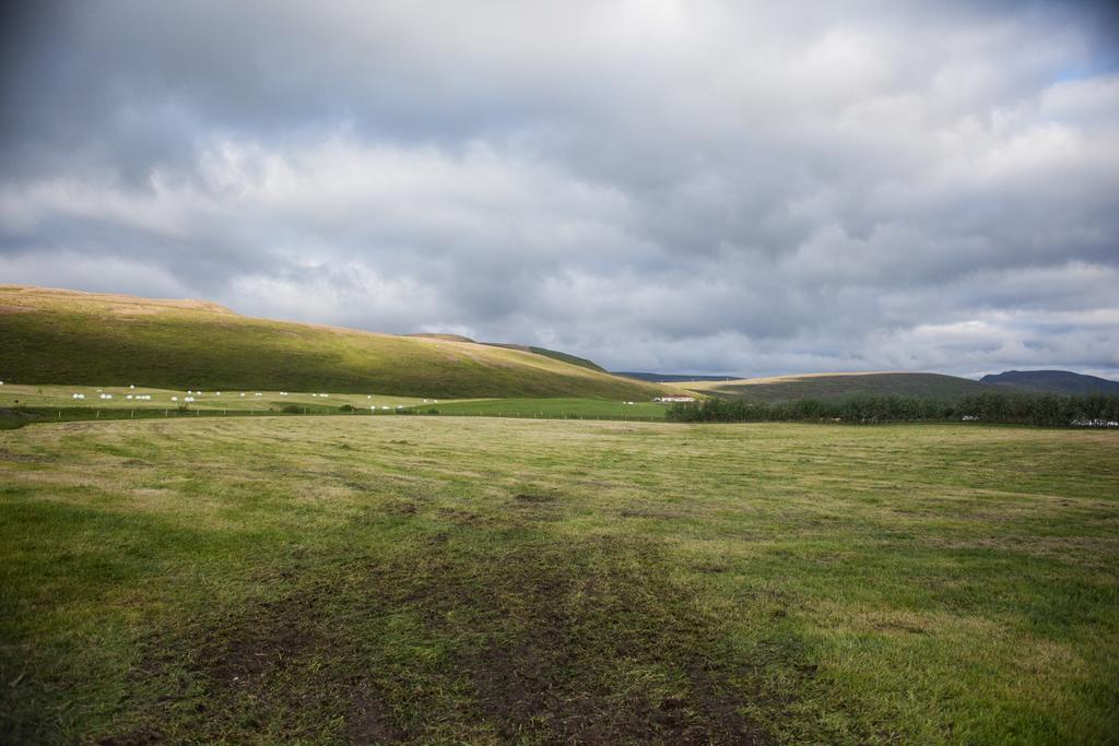 Farm stay Mithhvammur Farm *
