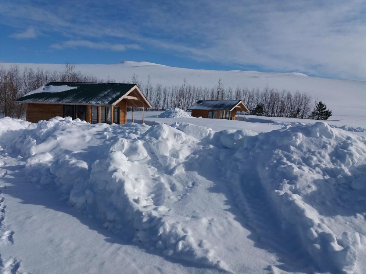 Mithhvammur Farm Farm stay *